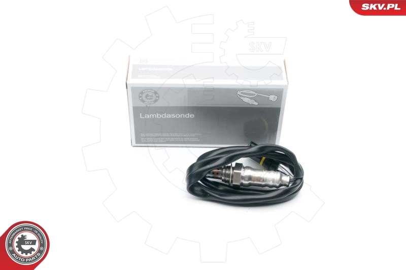 Oxygen Sensor